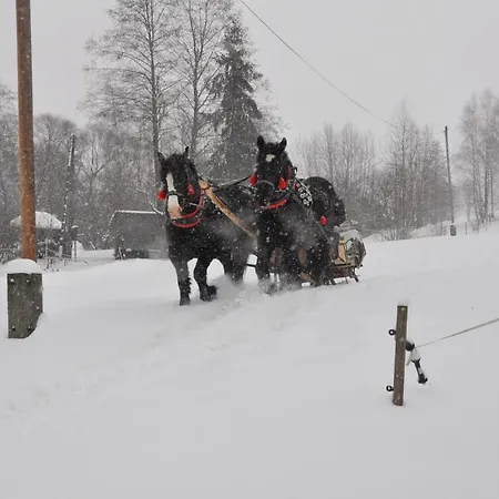 Dom Pod Lasem 44 Prázdninový dům *