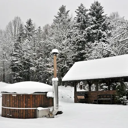 Prázdninový dům Dom Pod Lasem 44