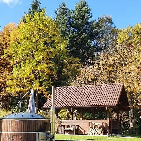 Prázdninový dům Dom Pod Lasem 44 *