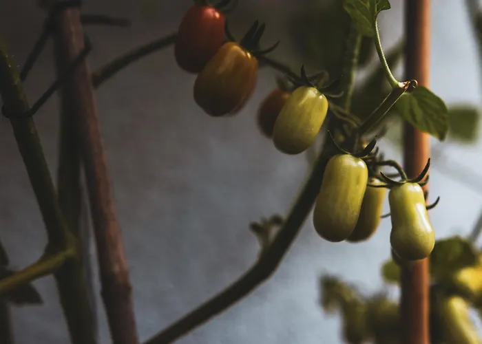 Dom Pod Lasem 44 * Klecza Gorna