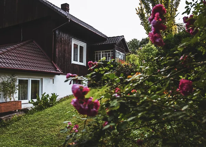 Dom Pod Lasem 44 בית נופש Klecza Gorna