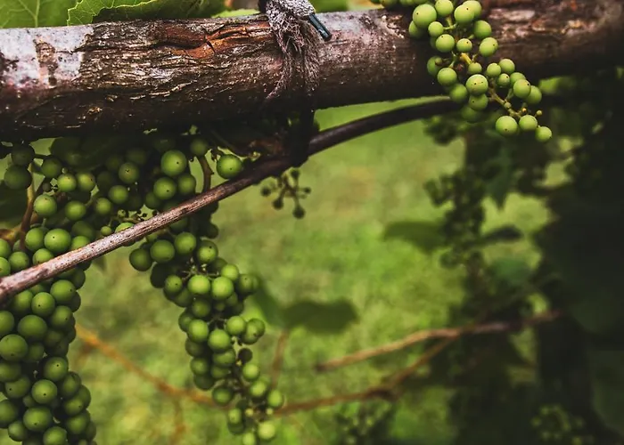 בית נופש Dom Pod Lasem 44 Klecza Gorna